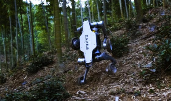 完美365WM.com山猫